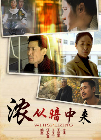 国产女主播一二三区丝袜美腿